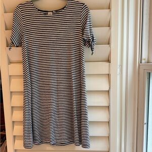 GAP Women’s Navy and White Striped Dress